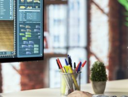 Software: Estudios Previos y Desarrollo